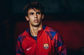 2017 费城记忆：名人堂投手罗伊·哈勒戴在个人飞行意外中逝世，引发棒球界集体哀悼